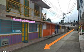 Salento Hostal de Paso